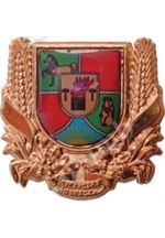 Значок «Герб Луганской области»