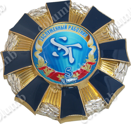 Памятный знак «Заслуженный работник компании ST. 5 лет»
